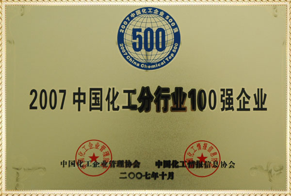 遠興2007年中國化工分行業100強獎牌
