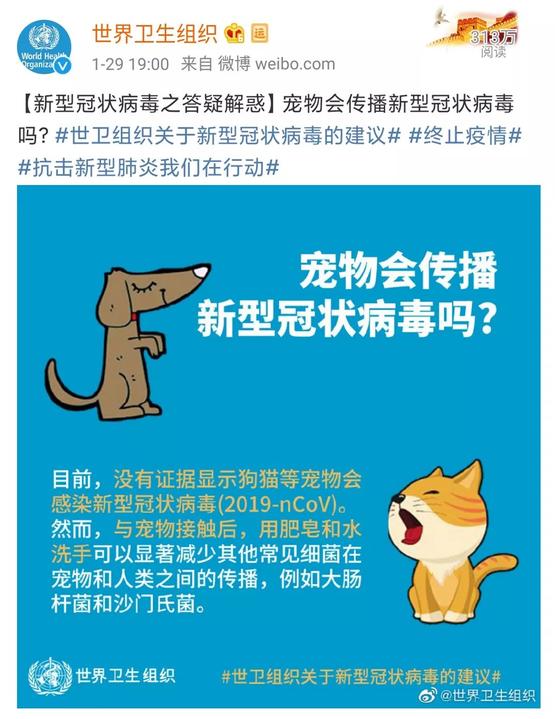 家里的貓狗，會(huì)傳染新冠狀病毒嗎？